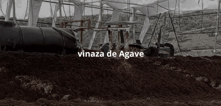 Vinaza de Agave: Desafíos Ambientales y Oportunidades para la Agricultura Sostenible