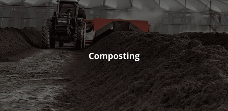 Compostaje: qué es, tipos, fases y beneficios para una agricultura sostenible y circular