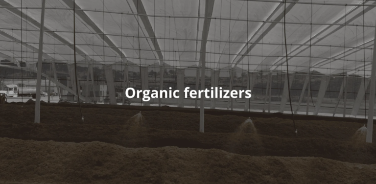 El papel de los fertilizantes orgánicos en la regeneración del suelo y la economía circular del agave