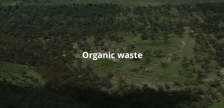 Cómo transformar los residuos orgánicos de la industria tequilera en recursos ambientales sostenibles