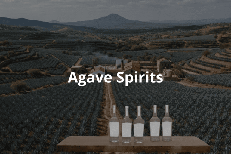 Agave Spirits: Exploring Mexico’s Most Iconic Distilled Traditions