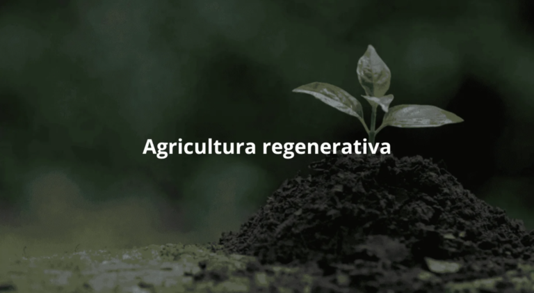 Agricultura regenerativa: la clave para fortalecer la producción agrícola