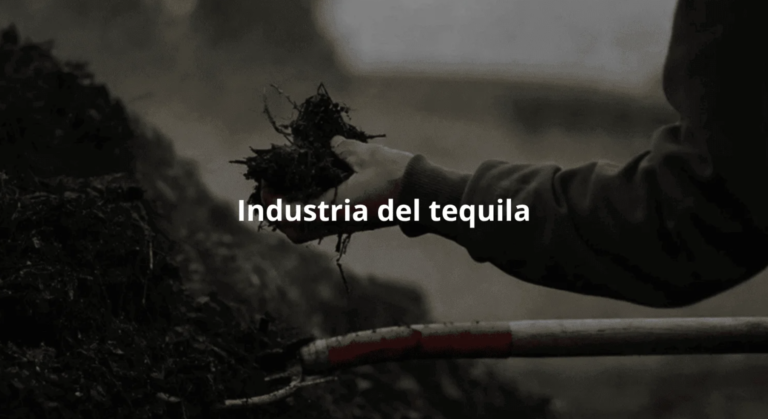 Cómo transformar los residuos en soluciones sostenibles para la agricultura | Industria del tequila