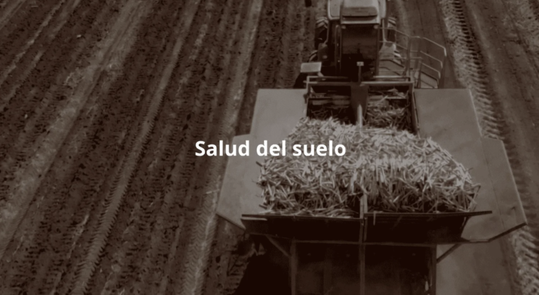 Salud del suelo: el fundamento de una agricultura productiva y sostenible