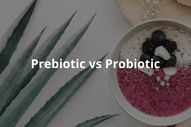 Prebiotic vs Probiotic: Understanding the Difference for Better Gut Health